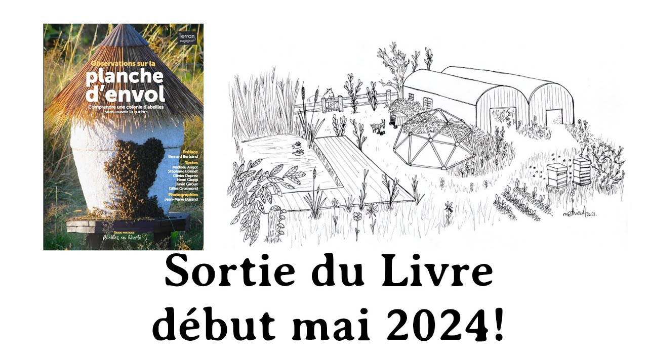 On sort un livre! Observations sur la planche d'envol, aux éditions Terran Magazines!